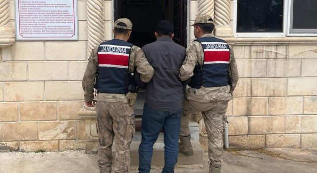 Jandarma firari hükümlüyü yakaladı