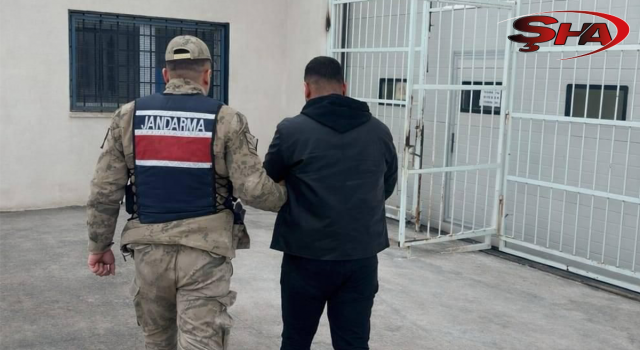 Şanlıurfa’da firari hükümlü jandarmadan kaçamadı