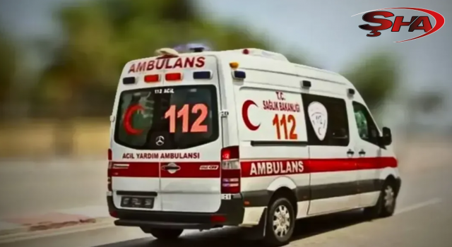 Şanlıurfa'da kamyon tarlaya devrildi: Sürücü yaralandı