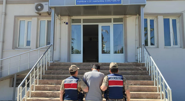 11 aylık firar Harran'da sona erdi