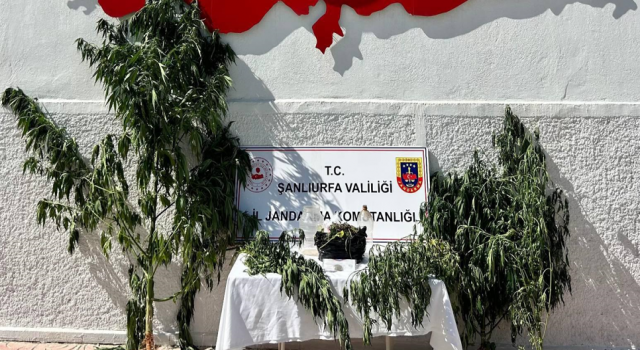 Hilvan'da uyuşturucu operasyonu: 1 şüpheli hakkında işlem