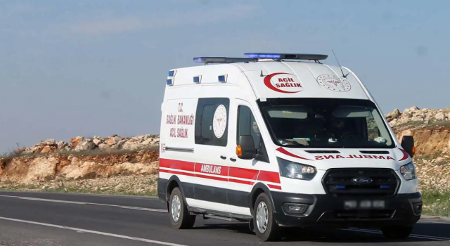 Şanlıurfa’da otomobil at arabasına çarptı: 1 kişi yaşamını yitirdi