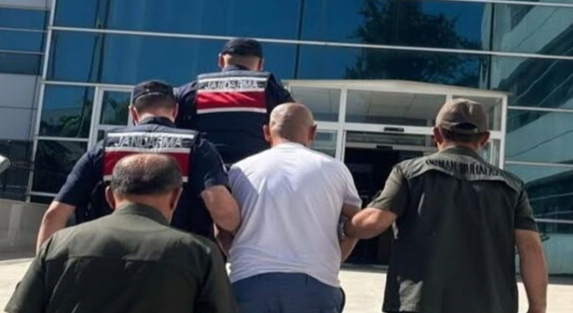 Şanlıurfa OGM duyurdu: Adıyaman’daki orman yangınında 1 şüpheli tutuklandı