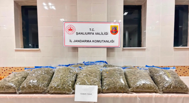 Şanlıurfa'nın da dahil olduğu operasyonda 80 tutuklama