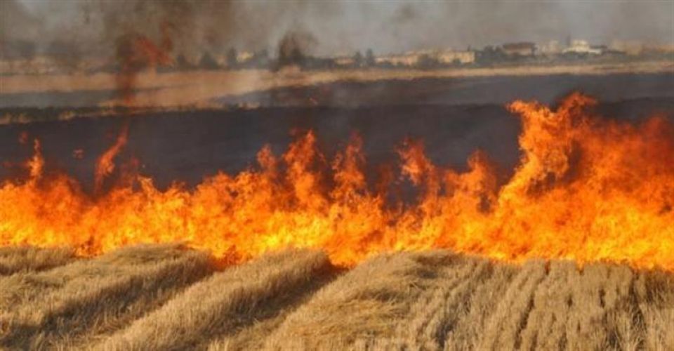 Vali Şıldak'tan Anız Yangını Uyarısı: 344 Kişiye 22,9 Milyon TL Ceza!
