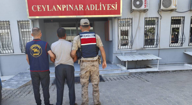 10 yıl hapis cezası bulunan firari Ceylanpınar’da yakalandı