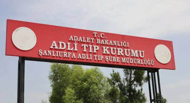 Akçakale'de otomobilin çarptığı çocuk hayatını kaybetti!