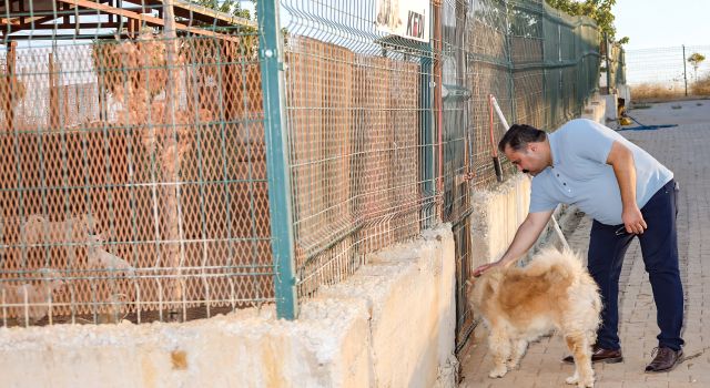 Başkan İnan, Viranşehir Hayvan Barınağı’nda incelemelerde bulundu