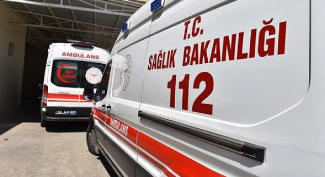 Şanlıurfa’da ilginç kaza: Yola çıkan eşek 4 kişiyi hastanelik etti