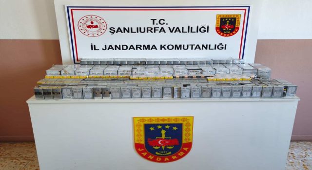Şanlıurfa’da kaçakçılık operasyonu! Binlerce paket sigara ele geçirildi