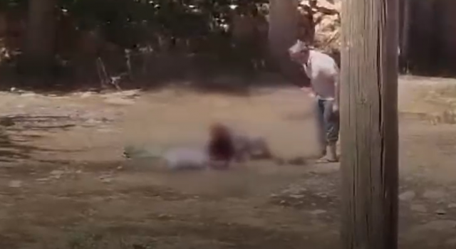Şanlıurfa’da kan donduran olay: 85 yaşındaki annesini sopayla dövdü