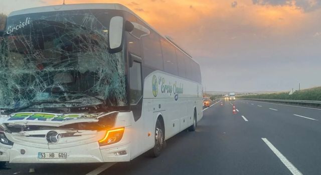 Urfa'da yolcu otobüsü tıra çarptı