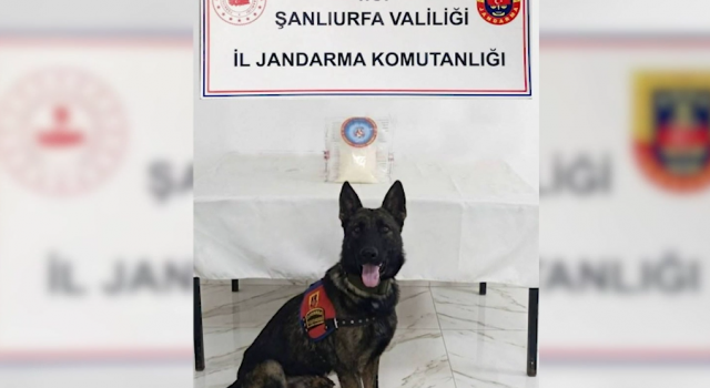Birecik’te uyuşturucu operasyonu