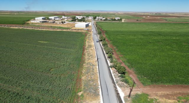Büyükşehir, Viranşehir’de kırsal yolları yeniliyor