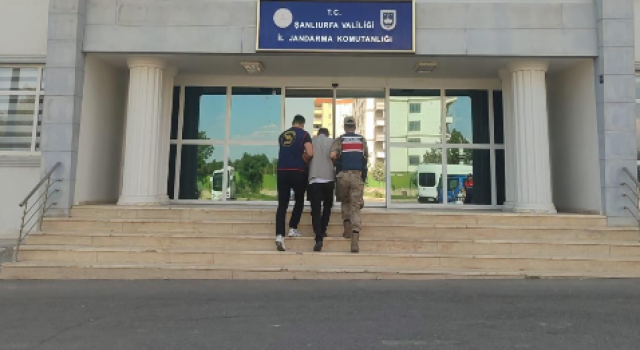 Şanlıurfa’da 72 Milyon TL’lik dolandırıcılık operasyonu