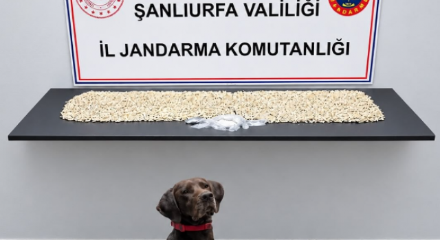 Eyyübiye’de uyuşturucu baskını