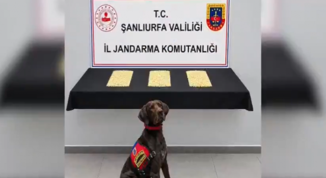 Şanlıurfa dahil 32 ilde uyuşturucu operasyonu!