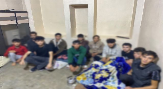 Şanlıurfa’da düzensiz göçe yönelik denetimler sürüyor