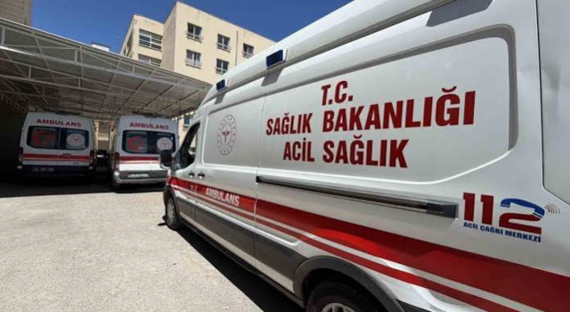 Şanlıurfa’da otomobil ağaca çarptı: 3 yaralı