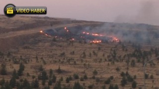 Ormanlık alandaki yangın korkuttu