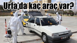 Urfa’da her 8 kişiye bir motorlu araç düşüyor