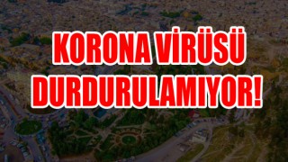 Urfa’da korkutan rakamlar!