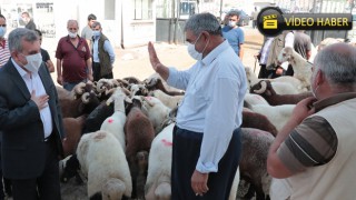 Beyazgül, Hayvan Borsası esnafını ziyaret etti