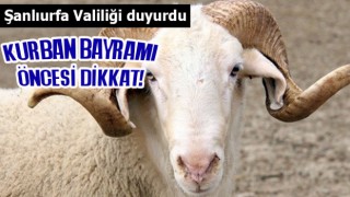 Kurban Bayramı ile ilgili radikal kararlar alındı