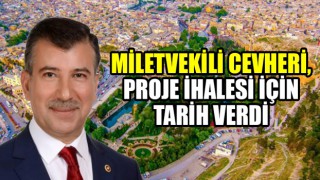 Milletvekili Cevheri'den Hızlı tren açıklaması...