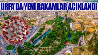 Urfa'da korona korkutucu şekilde yayılıyor