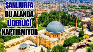 Veriler açıklandı! Urfa yine 1’inci