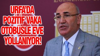 CHP'li Tanal'dan Şanlıurfa Valiliği'ne flaş çağrı...