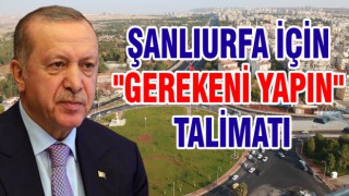 Erdoğan'dan Bakan Koca'ya Urfa talimatı...