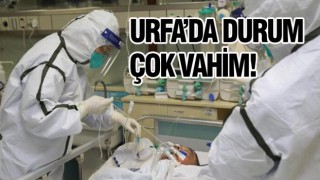 Urfa'da dernek başkanı koronadan hayatını kaybetti