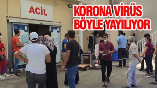 Urfa'da korona testi için kuyruk oluşuyor