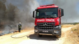 Urfa'da ormanda yangın çıktı