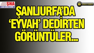 Urfa'da skandal görüntüler ortaya çıktı