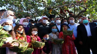 Binali Yıldırı Urfa'da fıstık hasadına katıldı