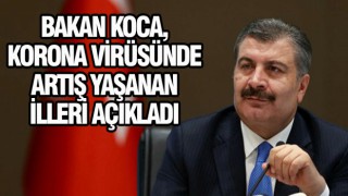 Bakan Koca: Urfa'da sonuç aldık