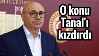 Tanal: Urfalılar, bu toplumun marabası mı olacak?