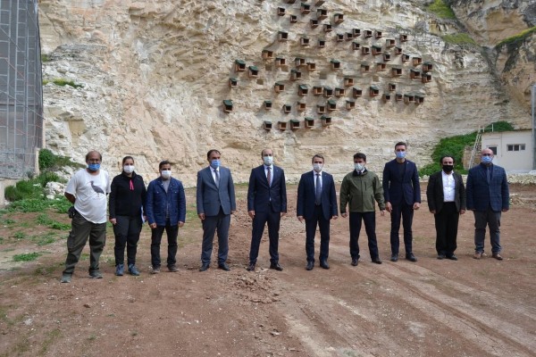 Baharın müjdesi kelaynaklar Birecik semalarında