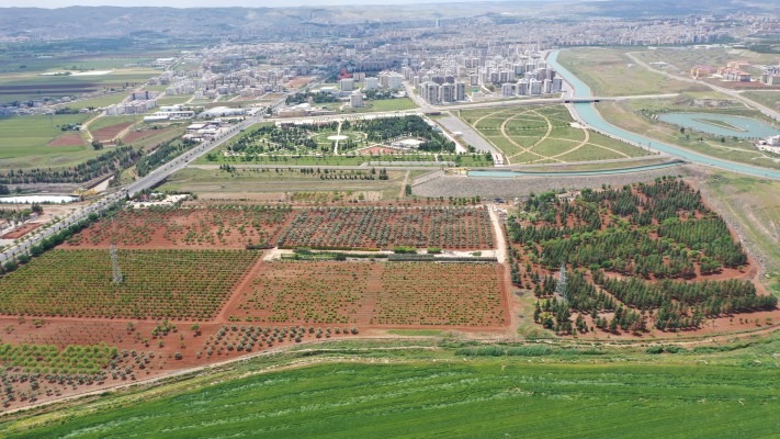 Hobi Bahçesi Proje çalışmaları devam ediyor