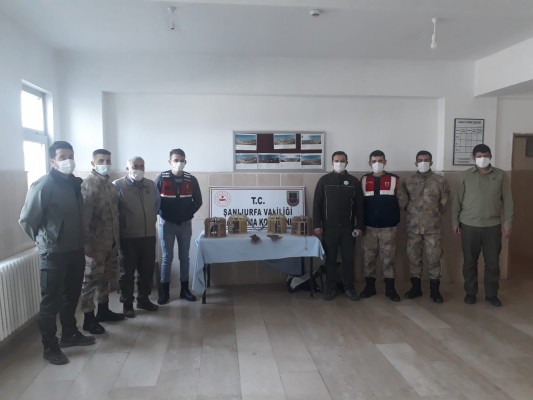 Şanlıurfa’da 11 kınalı keklik ele geçirildi