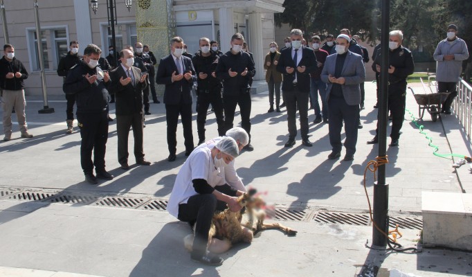 Şanlıurfa'da polislerin selameti için kurban kesildi