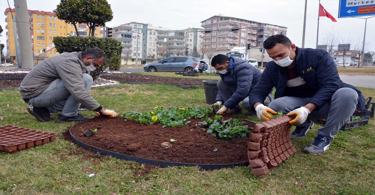 Siverek’te menekşeler toprakla buluştu