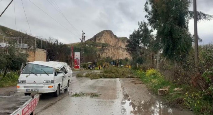 Birecik’te ağaçlar araçların üzerine devrildi