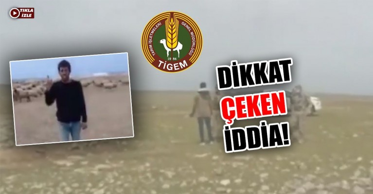 CHP'li vekil TİGEM'e karşı çobanları savundu
