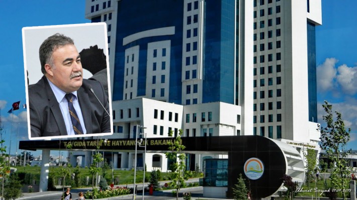 Daire Başkanı Özbek görevden alındı