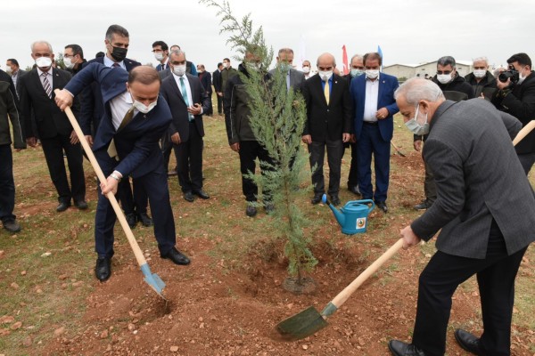Şanlıurfa’da fidanlar toprakla buluştu
