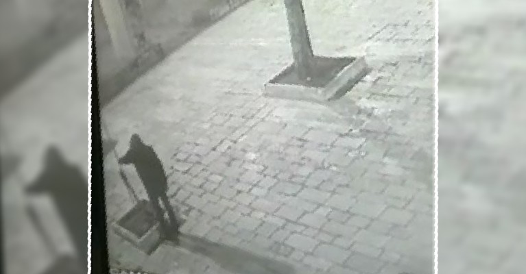 Ulu Cami'de şimdi de ağaçları kestiler